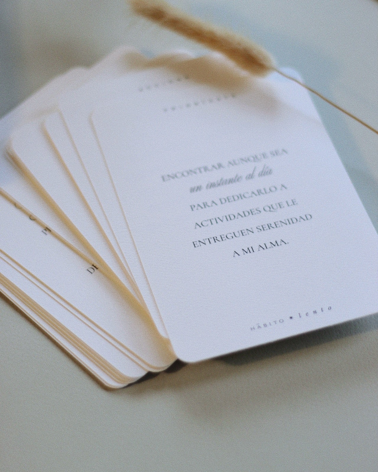 Set de tarjetas