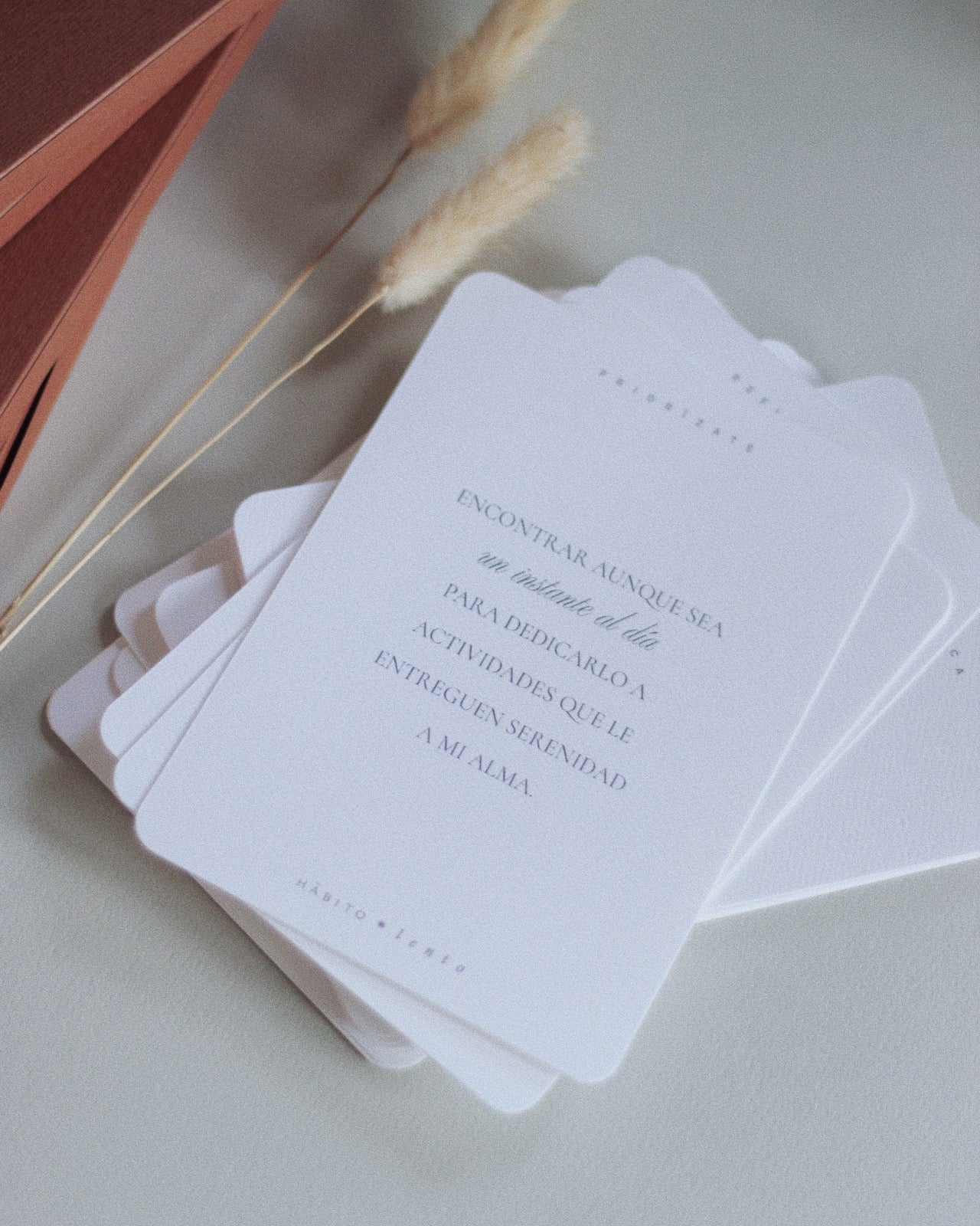Set de tarjetas